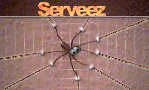  [Serveez logo] 