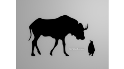  [Gnu and Tux wallpaper, black shapes] 